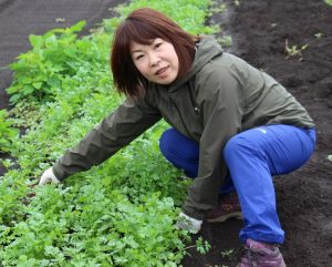 「発芽までの水管理さえ注意すれば普通の葉物野菜より栽培は簡単です」と豊島さん